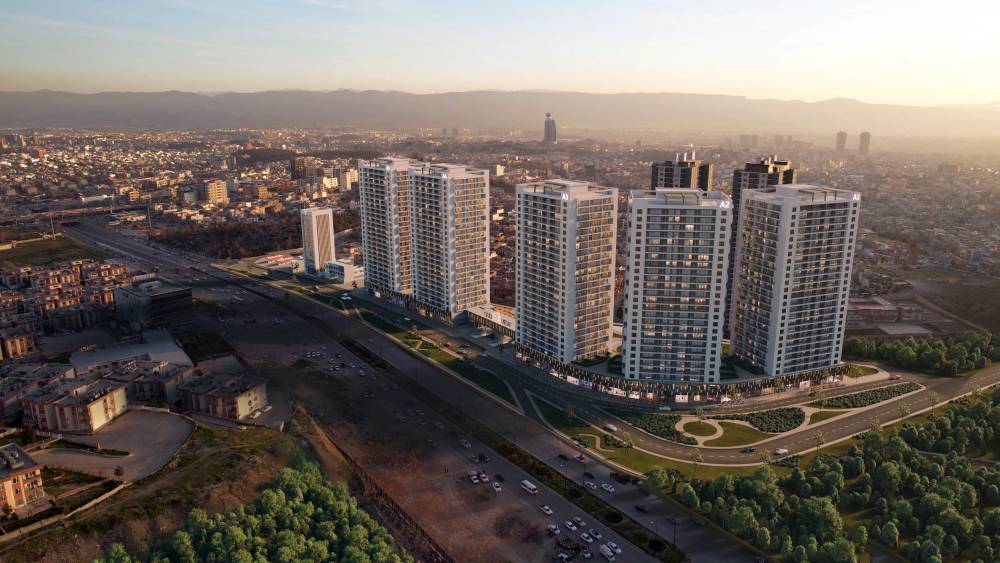 suli view